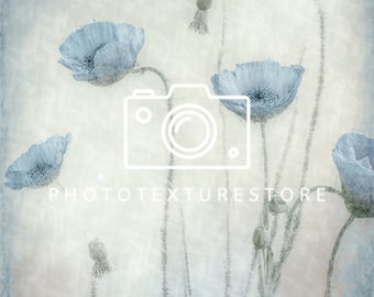 Fine Art Texture Floral Overlay, Photoshop Overlay, Floral Layer, Texture overlay, Digital Backdrop, Poppy, Poppies, Blue Flowers