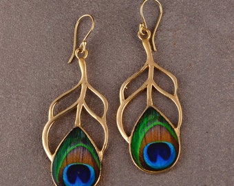 Pendientes de plumas de pavo real de latón: joyería de aves tropicales hecha a mano