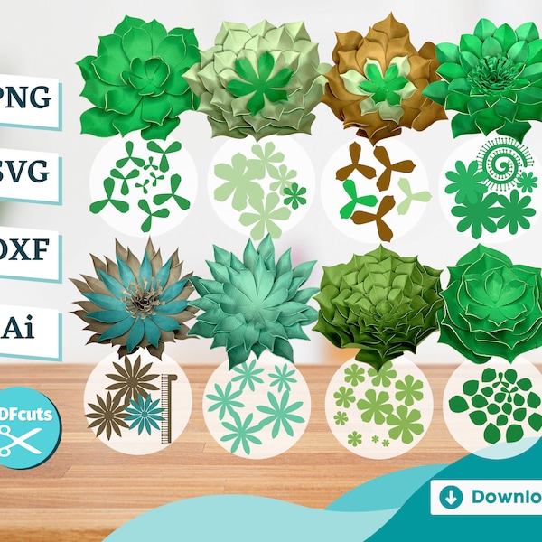 Succulents Bundle Layered Petal Paper Cut File in PNG, SVG, DXF, Ai, Cardstock Plant Stencil for Cutting Machines, Floral Decor Scrapbook