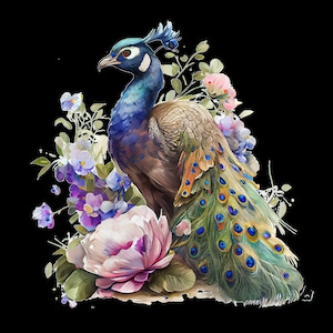 Aquarell-Stil Pfau Aufkleber für Laptops, Telefone, Notebooks, etc. Aufkleber Größen variieren leicht.