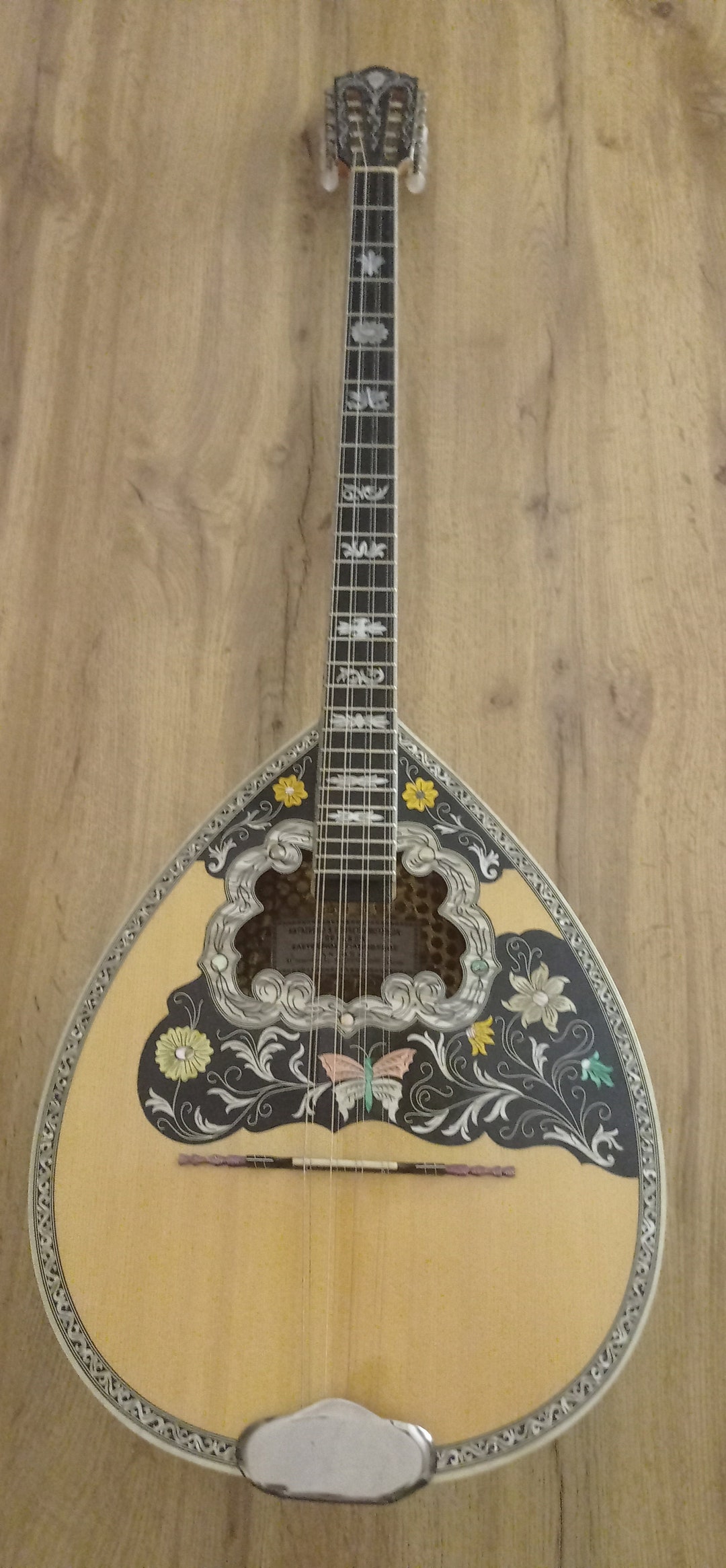 Greek Professional Bouzouki, Hardcase Lariseos Antonis Theodorou and