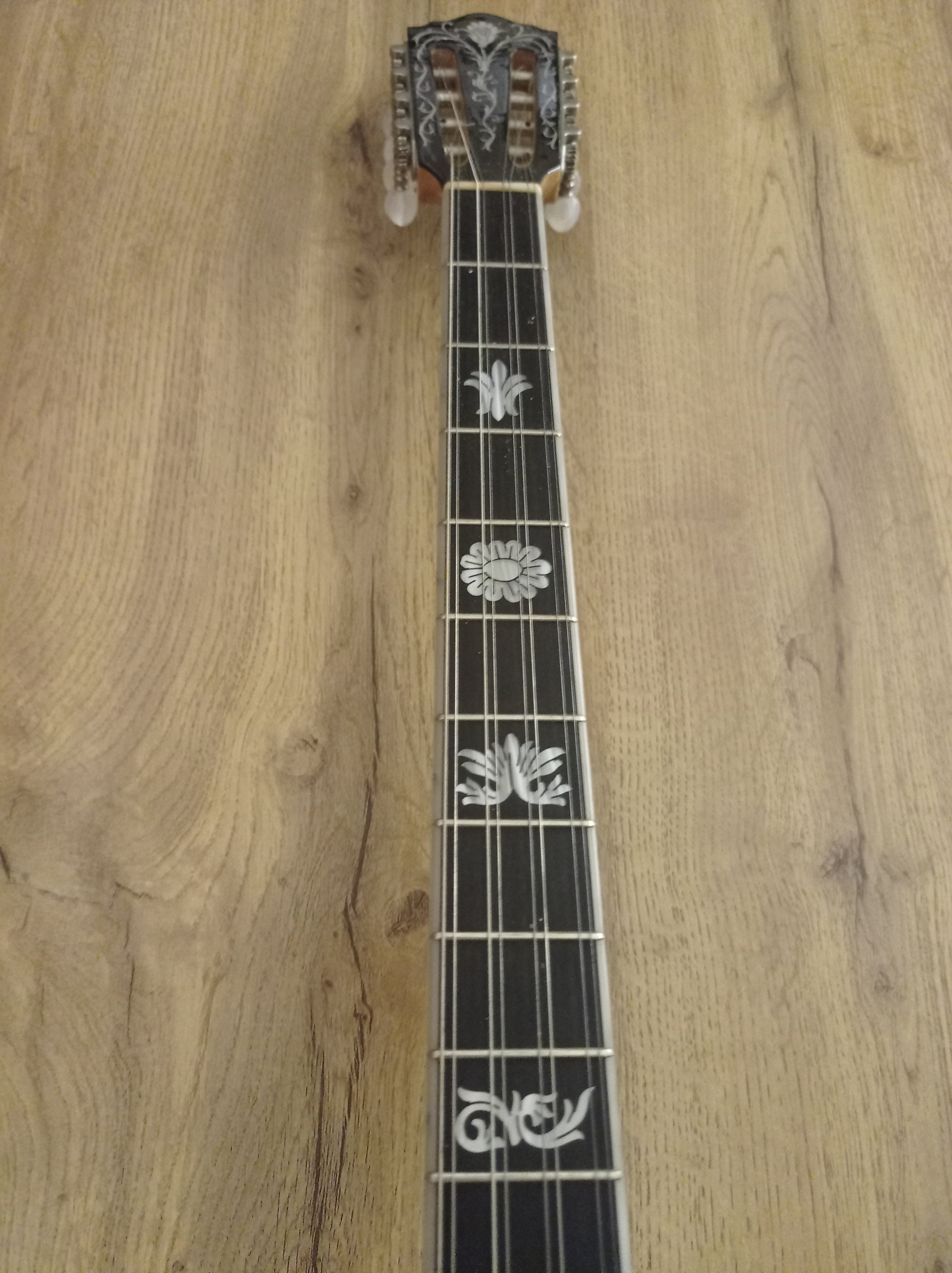 Greek Professional Bouzouki, Hardcase Lariseos Antonis Theodorou and