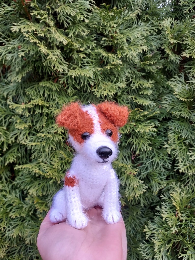 Jack Russell Terrier Crochet Pattern Dog Crochet Pattern Etsy