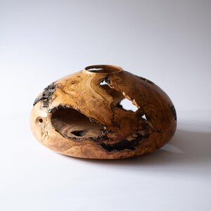 Sculptural olive wood vase, low dome silhouette with live-edge texture.