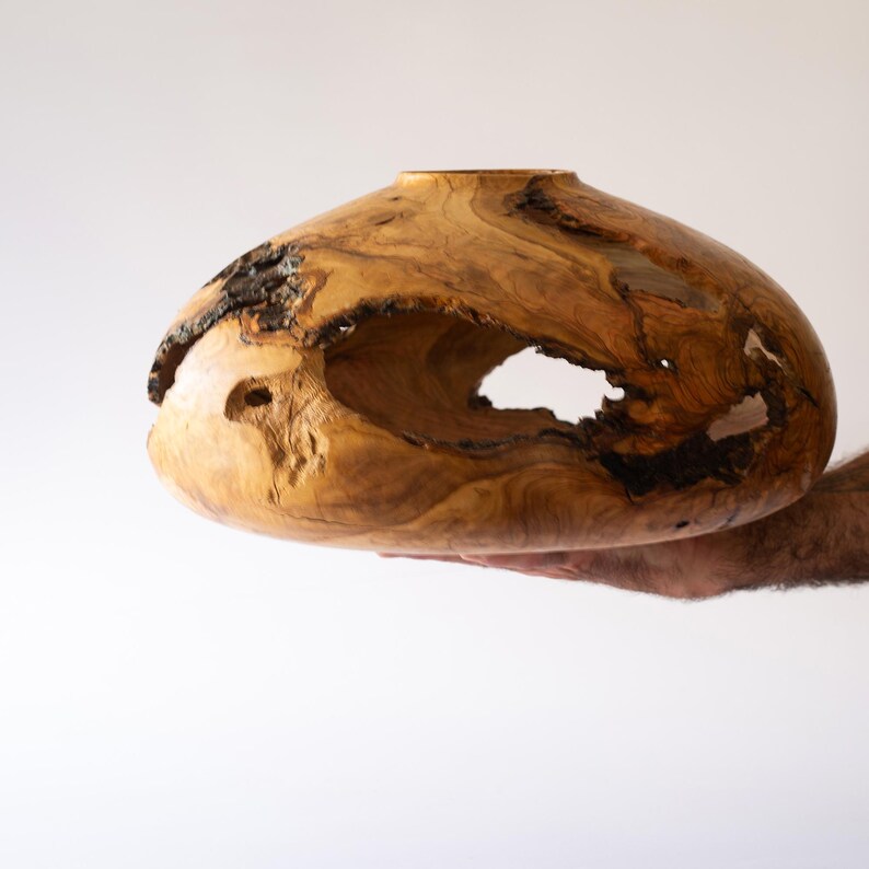 Natural wood vase, olive grain swirls and open cavities, photographed on white background.