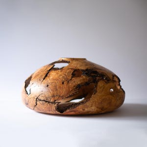 Handmade large wood vase, wabi-sabi aesthetic with irregular openings and sheen.