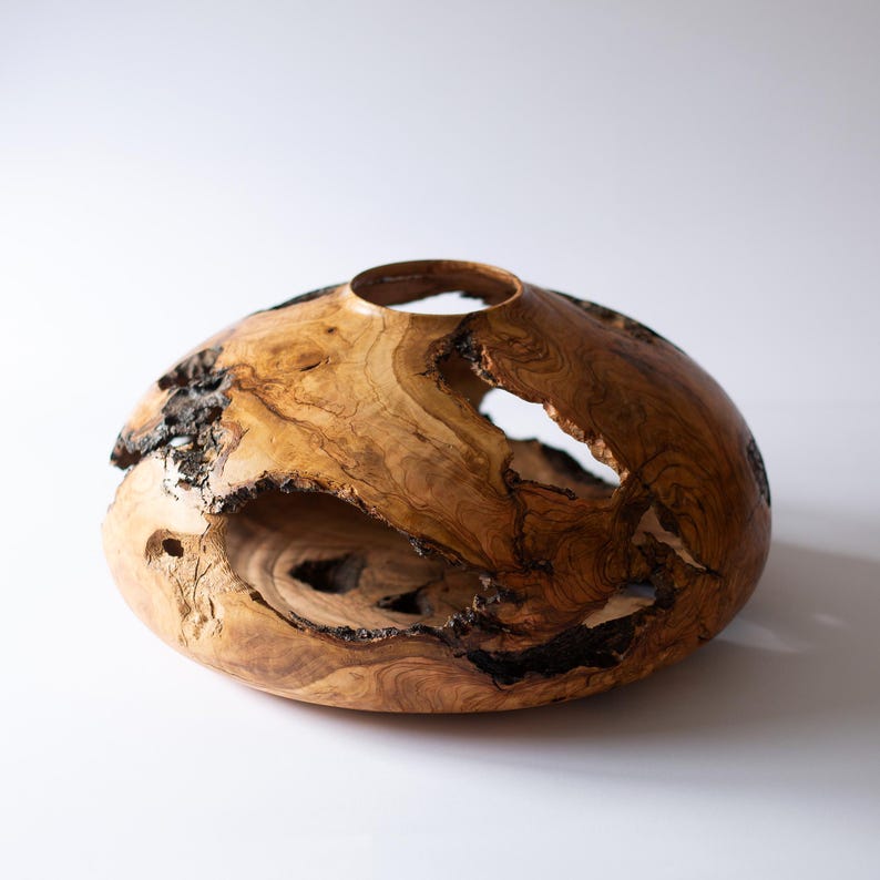 Hand-turned olive wood vase with natural voids, sculptural low profile on white.ה