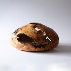 Olive wood vase centerpiece showing dramatic grain and wabi-sabi natural holes.