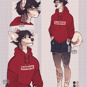 Anthro Furry Adoptable Canine Fursona Reference Sheet Base - Etsy