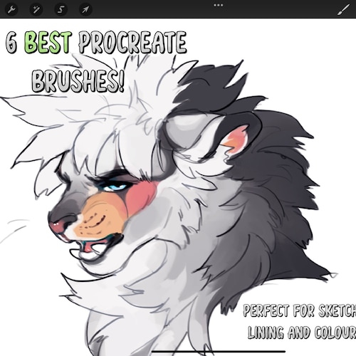 My 6 best procreate brushes (For sketching, lining & colouring)