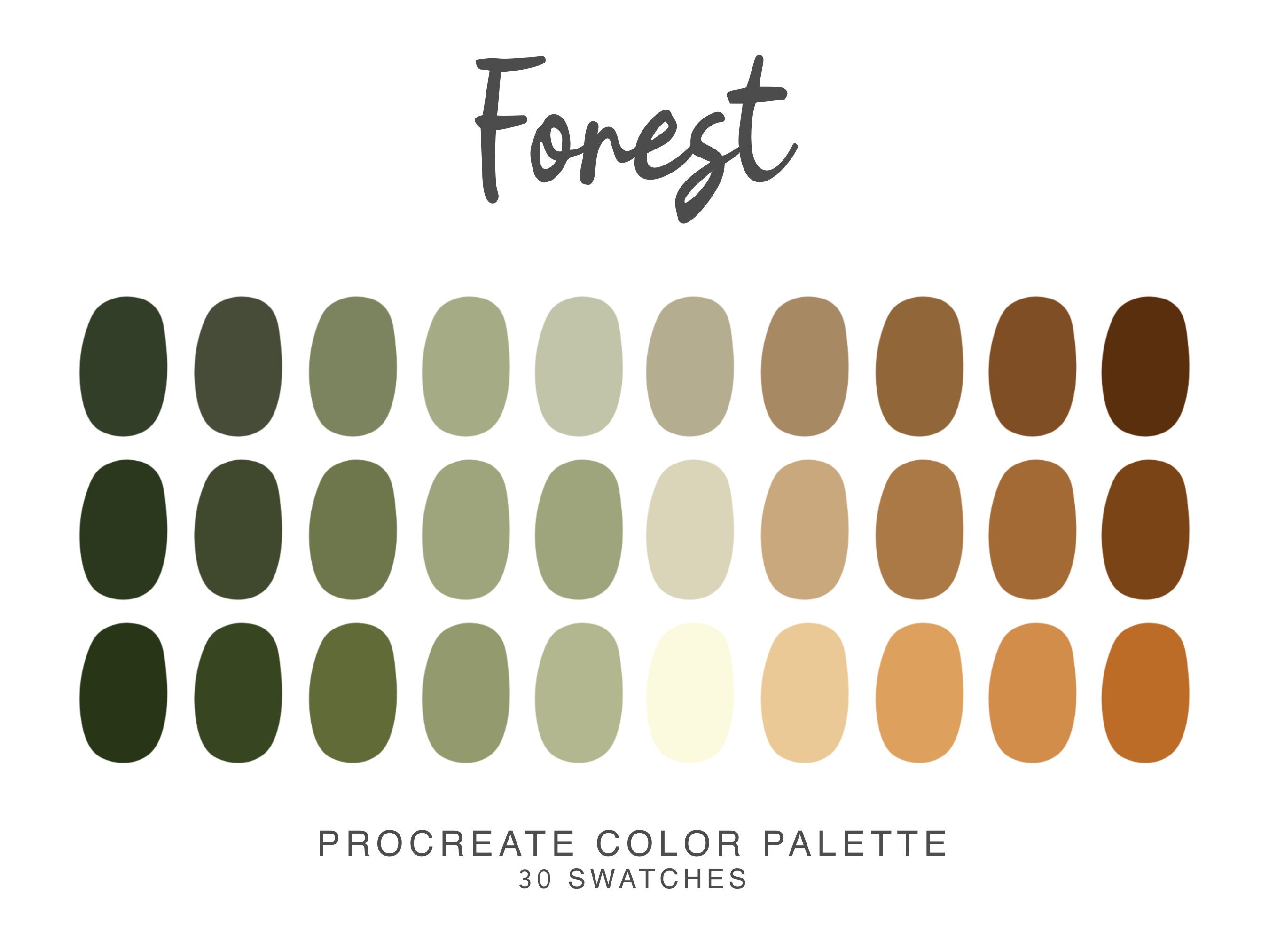 Paleta de colores Procreate Nature Forest – 30 tonos terrosos verdes y marrones para ilustración en iPad