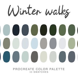 Winter walks Procreate color Palette, iPad Procreate Illustration, color swatches for winter Procreate Art