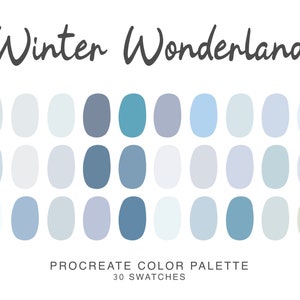 Winter wonderland Procreate color Palette, iPad Procreate Illustration, color swatches for winter Procreate Art