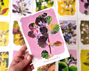 Ground ivy art print, spring flower print, flower postcard, Illustrated Postcard, Floral Card, art print postcard, boho home decor, wall art