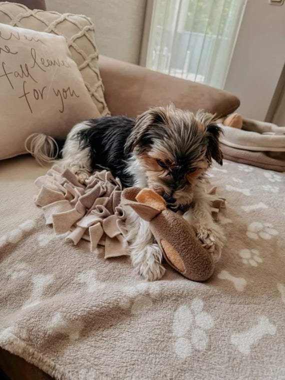 RHHGHY Schnüffelteppich Für Hunde - Beschäftigungsmatte 40x60cm