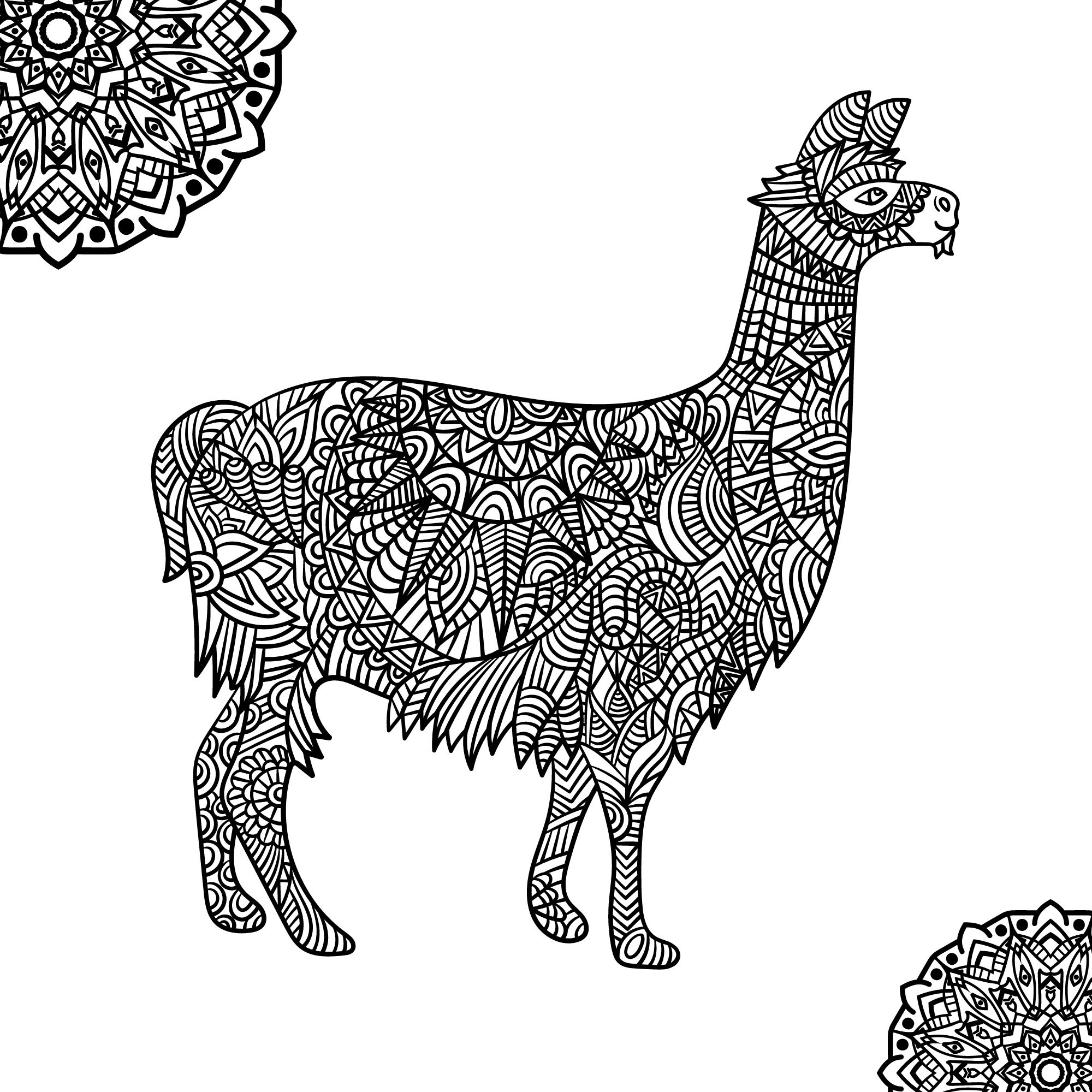 Animal Mandala Coloring Pages Animal Adult Coloring Book 50 Digital ...