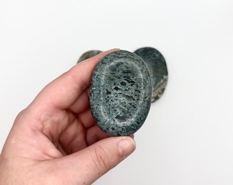 Pierre de palmier polie en agate mousse