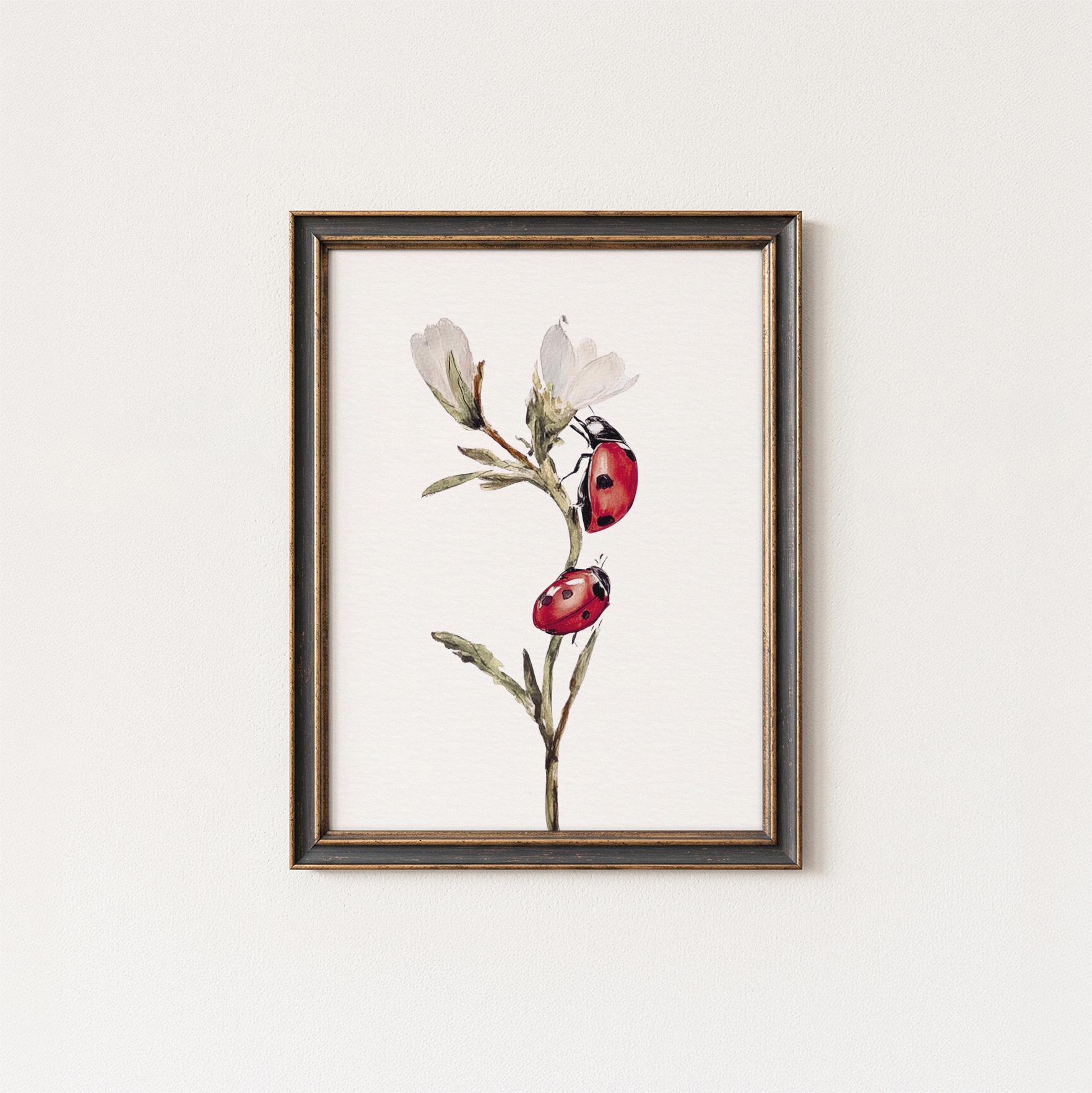 Vintage Ladybug Botanical Wall Art Print, Red Ladybird Insect ...