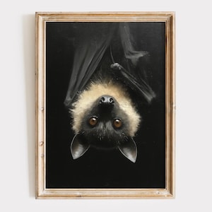 May include: A framed painting of a bat hanging upside down against a black background. The bat has dark fur, large brown eyes, and a tan and cream-colored face. The frame is a light, distressed wood.