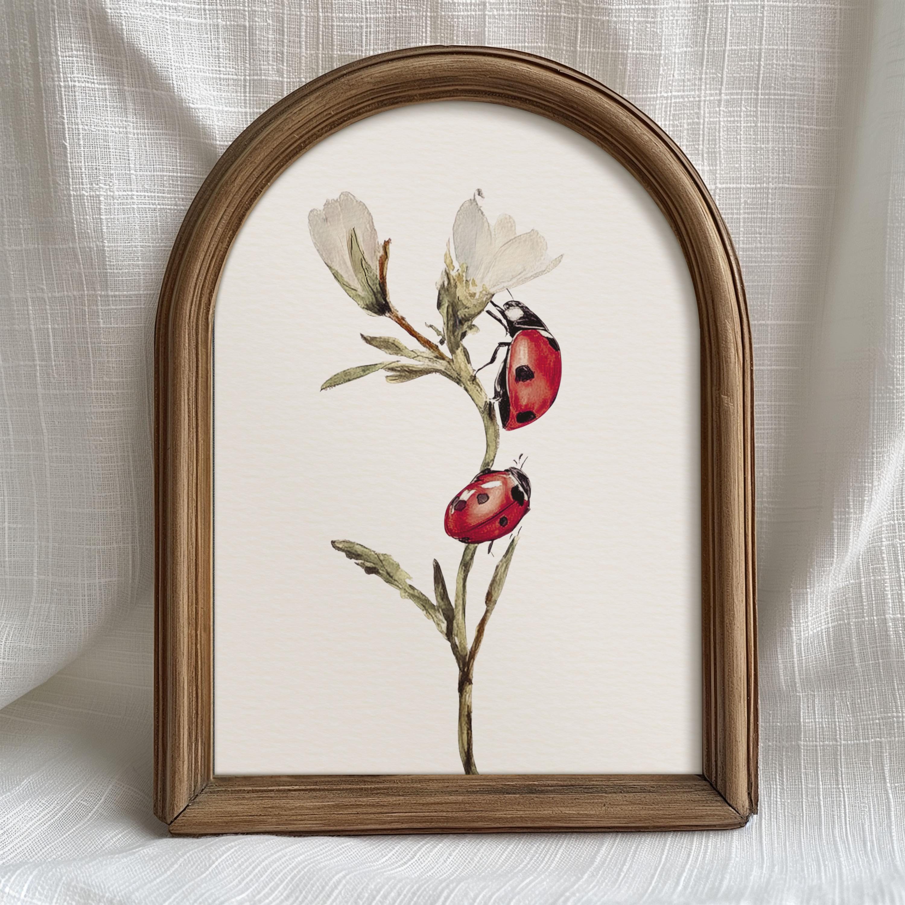 Vintage Ladybug Botanical Wall Art Print, Red Ladybird Insect ...