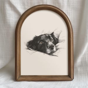 May include: A framed black and white sketch of a dog with brown eyes. The dog is lying down, resting its head on a pillow. The frame is a light brown color and has an arched top.
