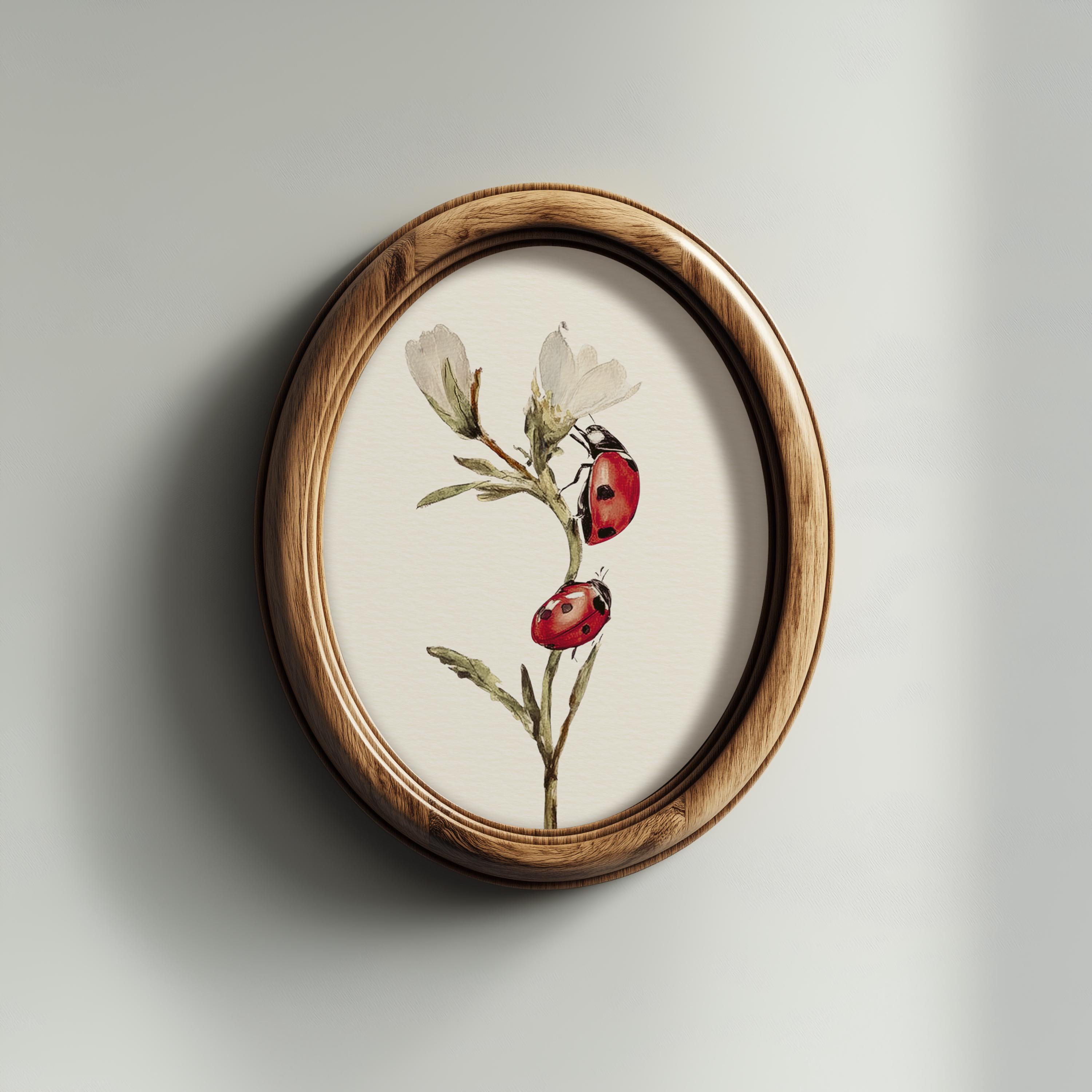 Vintage Ladybug Botanical Wall Art Print, Red Ladybird Insect ...