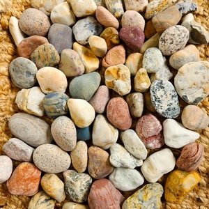 Large Raw Untumbled Beautiful Mix of Natural Great Lakes Rocks / Stones (By Weight)