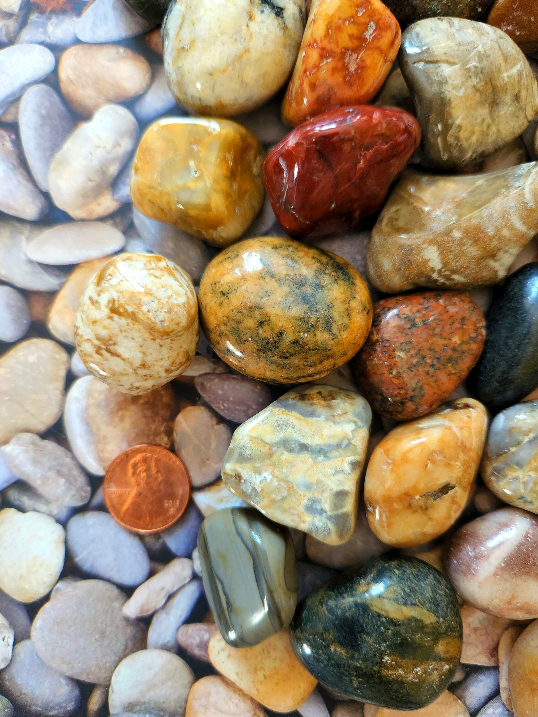 Pretty Tumbled Rocks Beautiful Mix of Medium Tumbled/polished Natural Great Lake Rocks ...