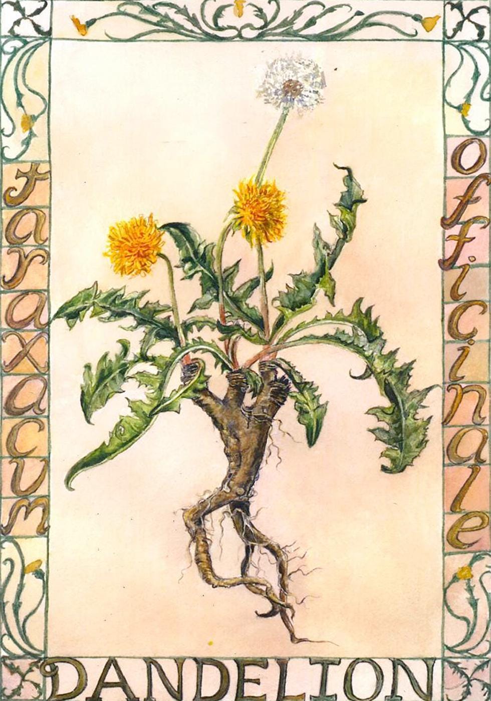 Dandelion Sticky Notes Dandelion Note Card - Etsy