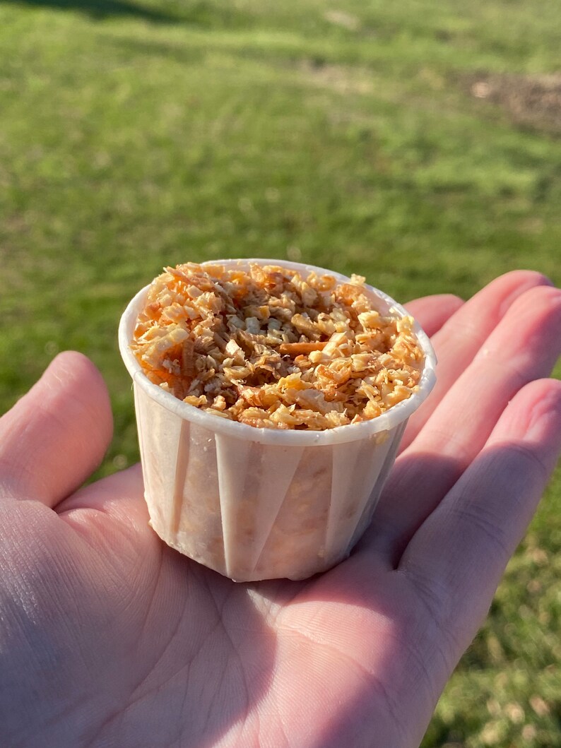 Bulk 60 Pack of 2oz Fire Starters Etsy