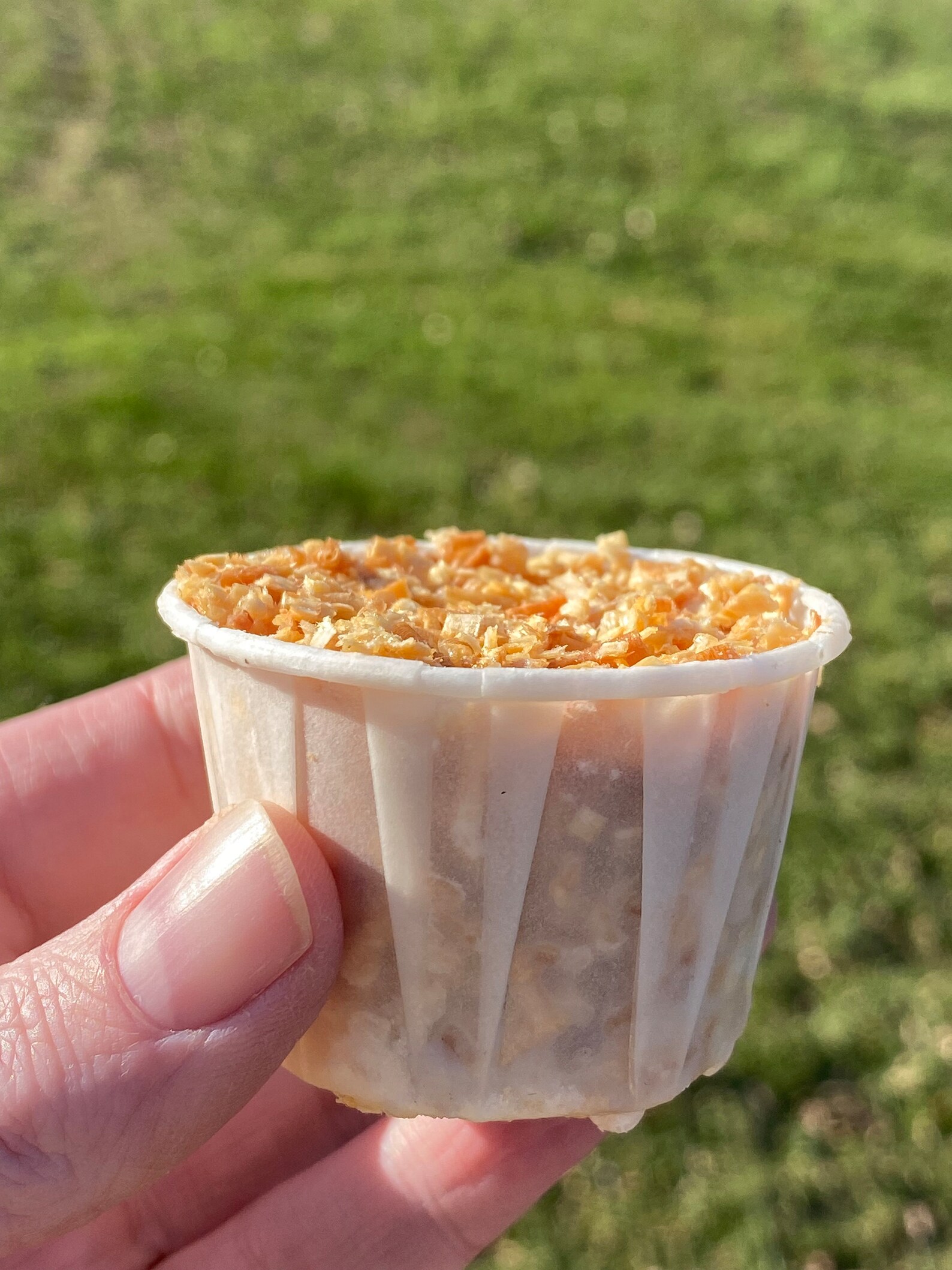 Bulk 60 Pack of 2oz Fire Starters Etsy