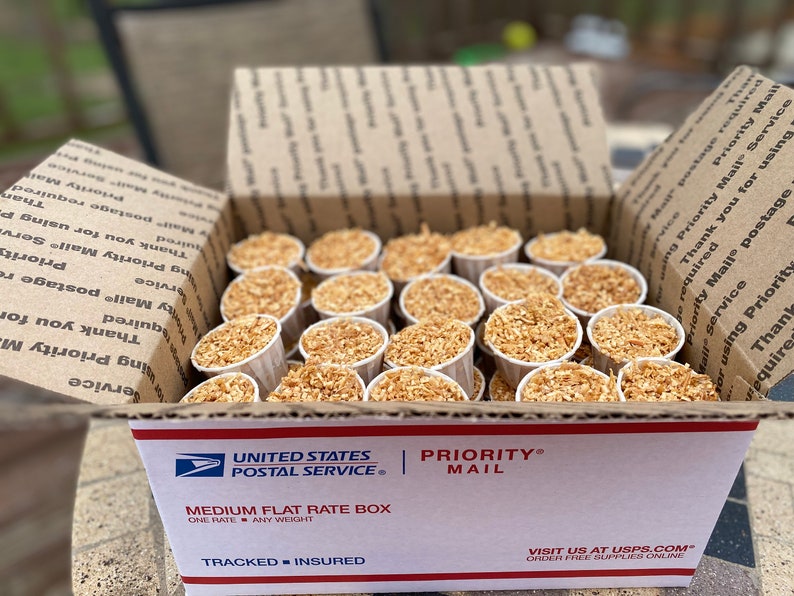 Bulk 60 Pack of 2oz Fire Starters Etsy