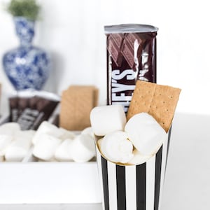 Black and White Striped Charcuterie Cups SET OF 10 Business Catered Event, Birthday Party Favor, Buffett Grazing Cups Wedding Food Display