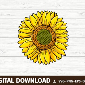 Sunflower svg, flower svg, sunflower clipart, sunflower png, floral svg, flowers svg, flower clipart, instant download, floral clipart