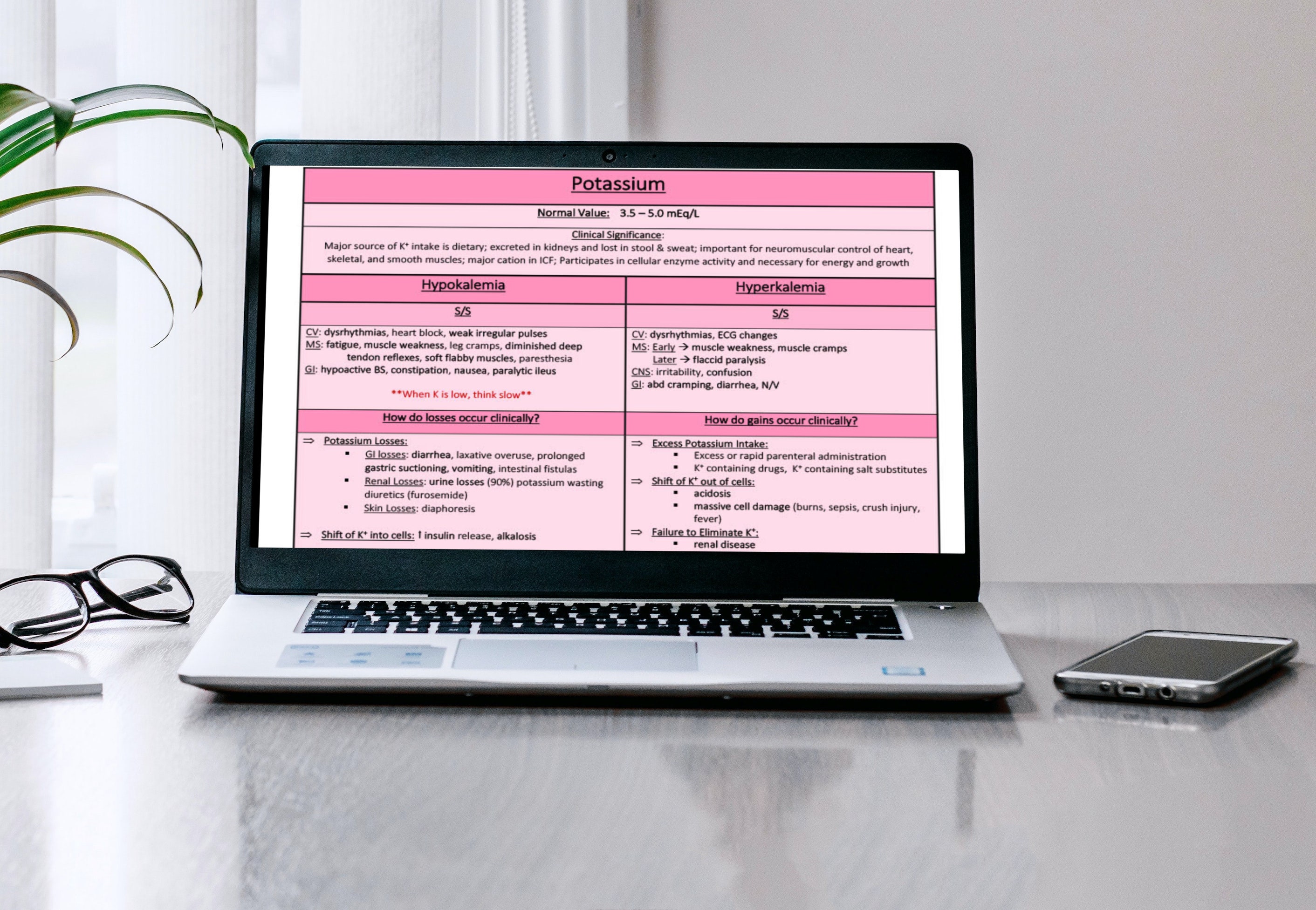 Electrolyte Imbalance Charts nursing School - Etsy