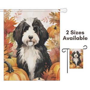 May include: A black and white doodle dog sitting in a field of fall leaves and pumpkins. The dog is looking at the camera. The background is a watercolor painting of fall leaves and pumpkins.
