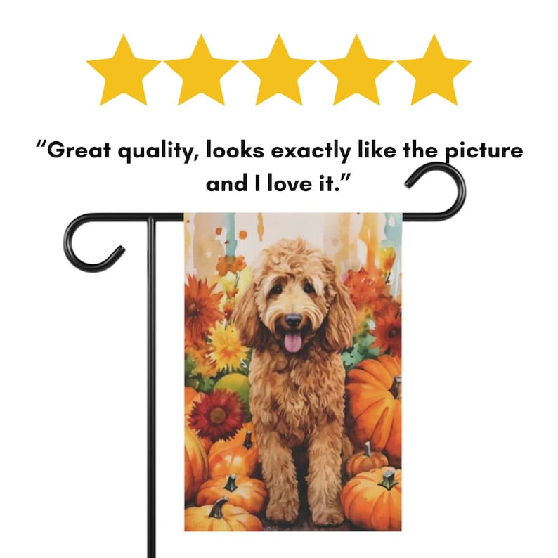 May include: A brown and white doodle dog sitting in a field of fall flowers and pumpkins. The dog is smiling and has its tongue sticking out.