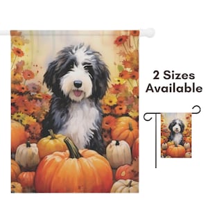 May include: A black and white doodle dog sits in a field of fall flowers and pumpkins. The dog is looking at the camera with a happy expression. The pumpkins are orange and yellow, and the flowers are red, orange, and yellow.