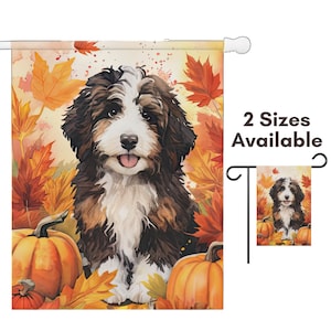 May include: A garden flag featuring a watercolor illustration of a Bernedoodle dog surrounded by pumpkins and fall foliage. The dog has brown, black, and white fur. The flag has the text "2 Sizes Available".