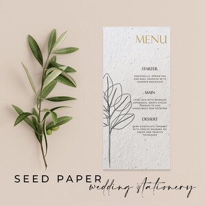 CARTA DA SEMI PIANTABILI - Un menù di nozze in carta da semi piantabili, ecologico e sostenibile, per un futuro verde - Linee semplici