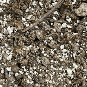 Professional Growing Mix