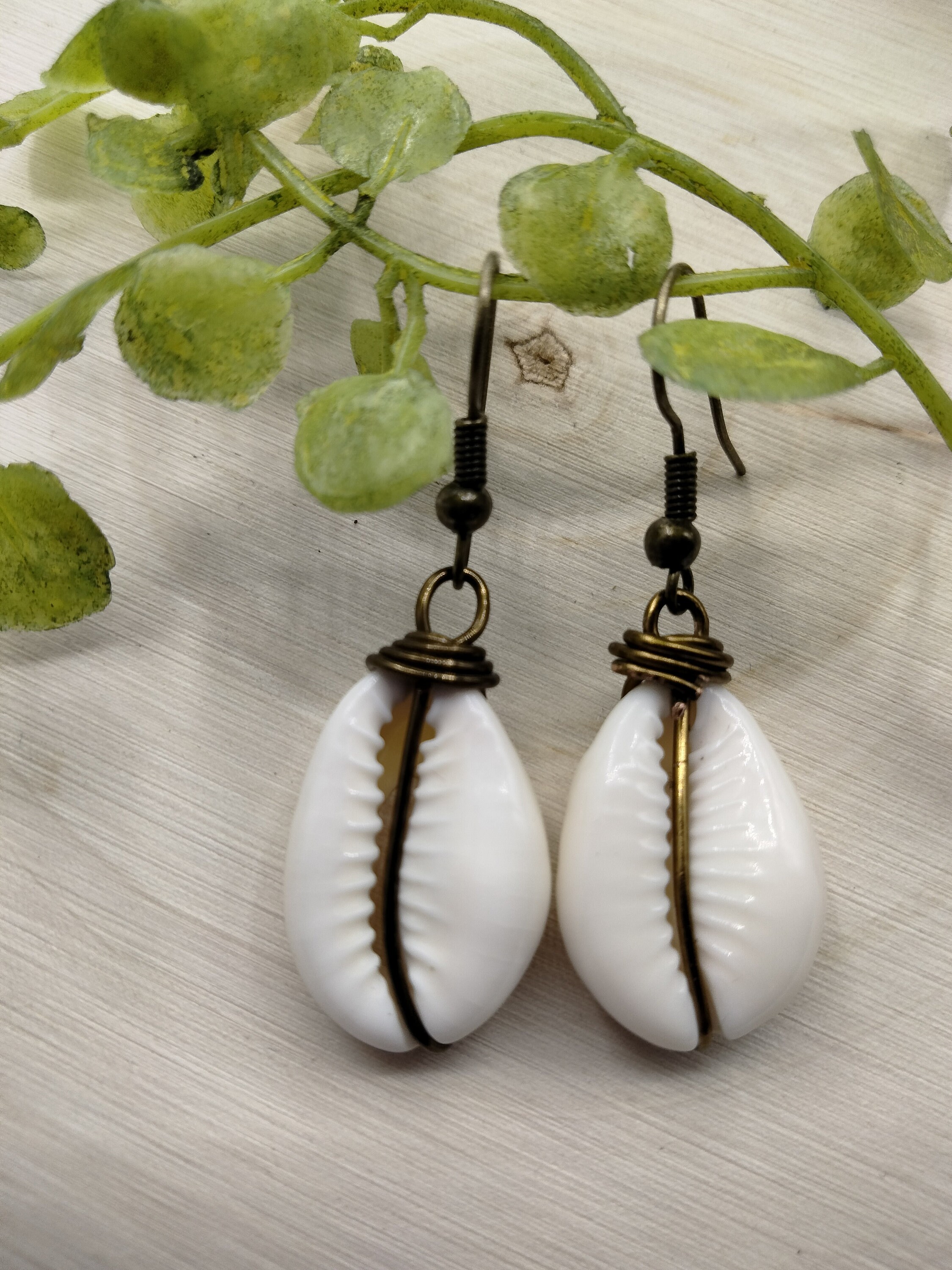 Shell Earrings Cowrie Shell With Wire Wrap Handmade Jewelry - Etsy