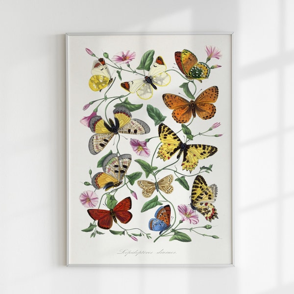 Butterflies and Flowers Poster, Vintage Butterflies Art, Colorful Botanical Art, Le Jardin Des Plantes by Paul Gervais,  Retro Wall Art