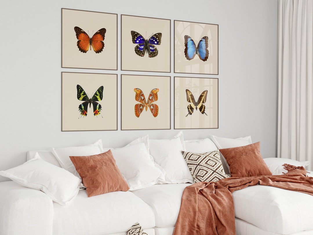 Square Butterfly Poster Set of 6, Vintage Butterflies Prints, Retro ...