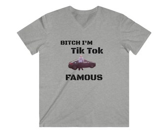 TikTok Famous Audi