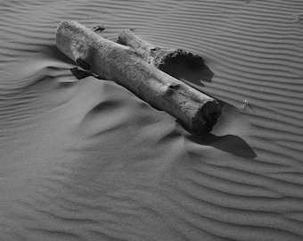 Driftwood on Beach Southern Oregon Coast Black and White Sand Texture