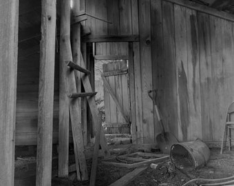 Chicken Coop Black and White History