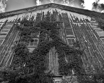Abandoned Barn Country Black and White Rural Ivy Quincy Illinois