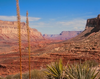Havasupai Indian Reservation Hike Grand Canyon Nature Desert