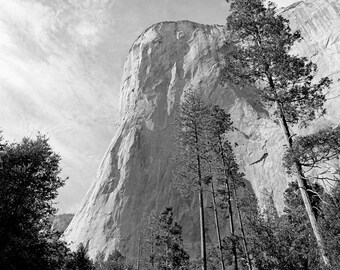 The Nose of El Capitan Yosemite National Park Black and White Analog Photography